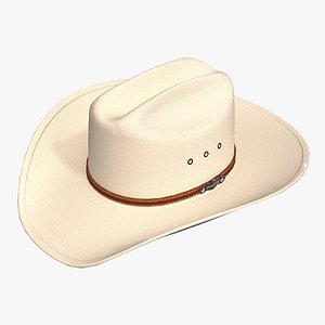 Stetson Cowboy Western hat