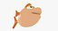 fish rig 3D model