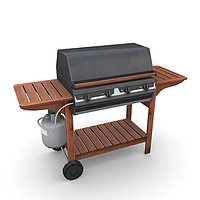 Barbeque 1
