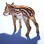 Wildes Ferkel