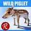 Wildes Ferkel