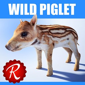 Wild Piglet