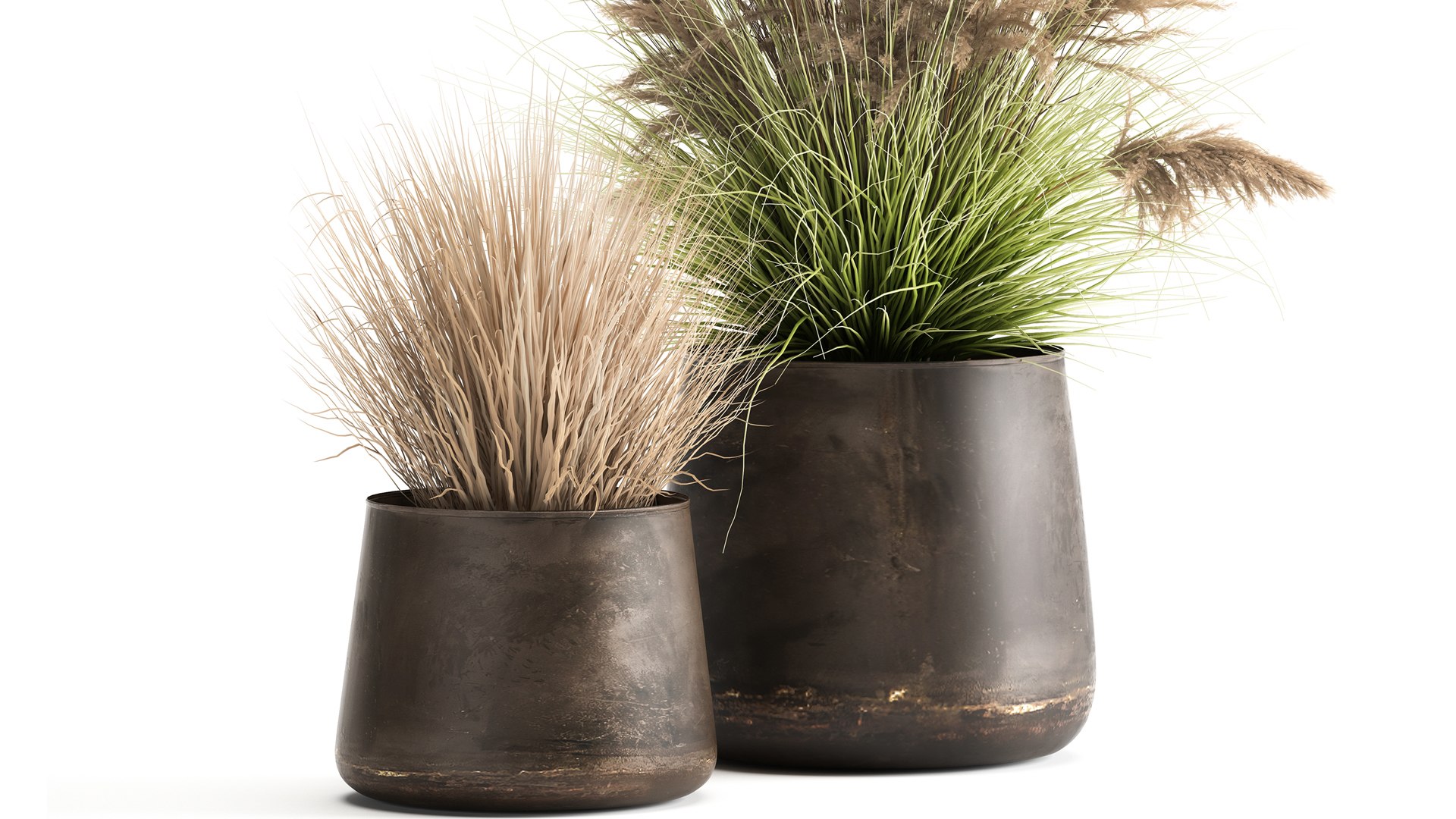 3D Reeds in a rusty flower pot for the interior 948 - TurboSquid 1725910