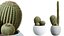 Set di piante da interno AV 202 Cactus Grusonii Golden Barrel e Mandarino Agrumi Arancia e Mission