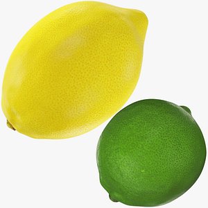 3D Lime and Lemon Collection V1 model