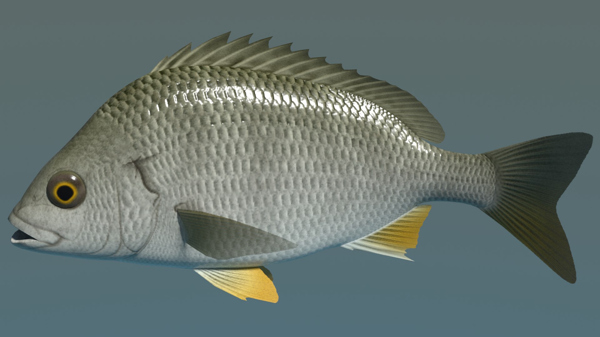 3d model of sea