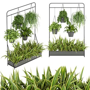 3D Collection plant vol 257 - Indoor - ampelous - 3dmax - fbx - obj