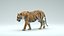 Tiger ANIMATED 3D