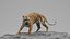 Tiger ANIMATED 3D