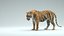 Tiger ANIMATED 3D