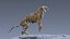 Tiger ANIMATED 3D