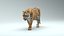 Tiger ANIMATED 3D