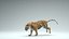 Tiger ANIMATED 3D