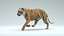 Tiger ANIMATED 3D