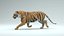 Tiger ANIMATED 3D