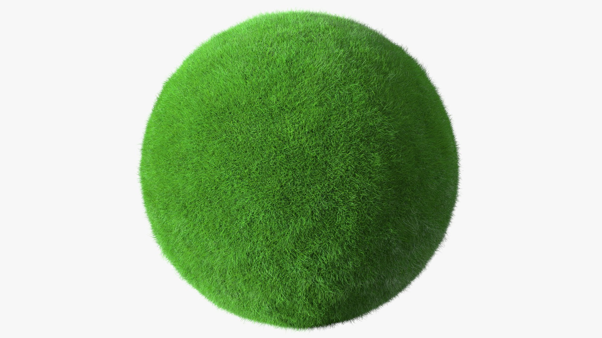 Sphere Covered with Green Grass Fur 3D model preview