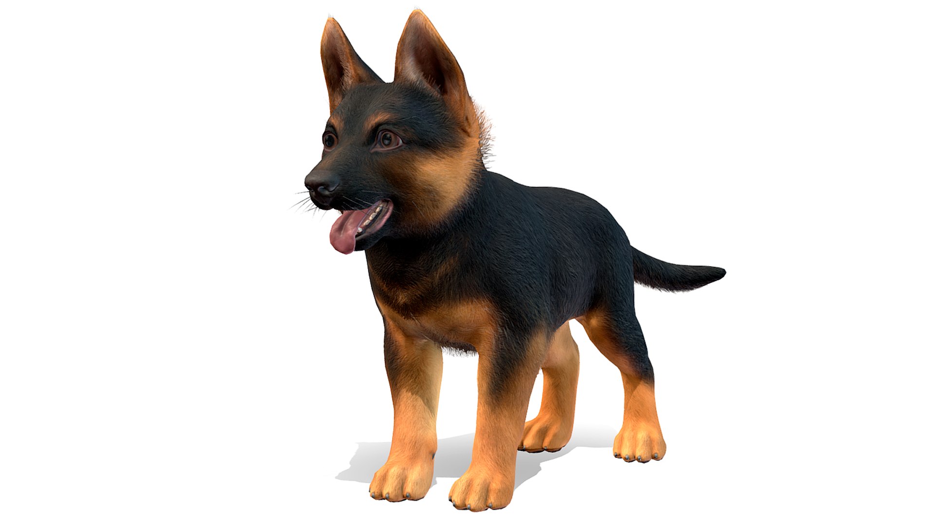 3D Puppy - Shepherd - TurboSquid 2003110