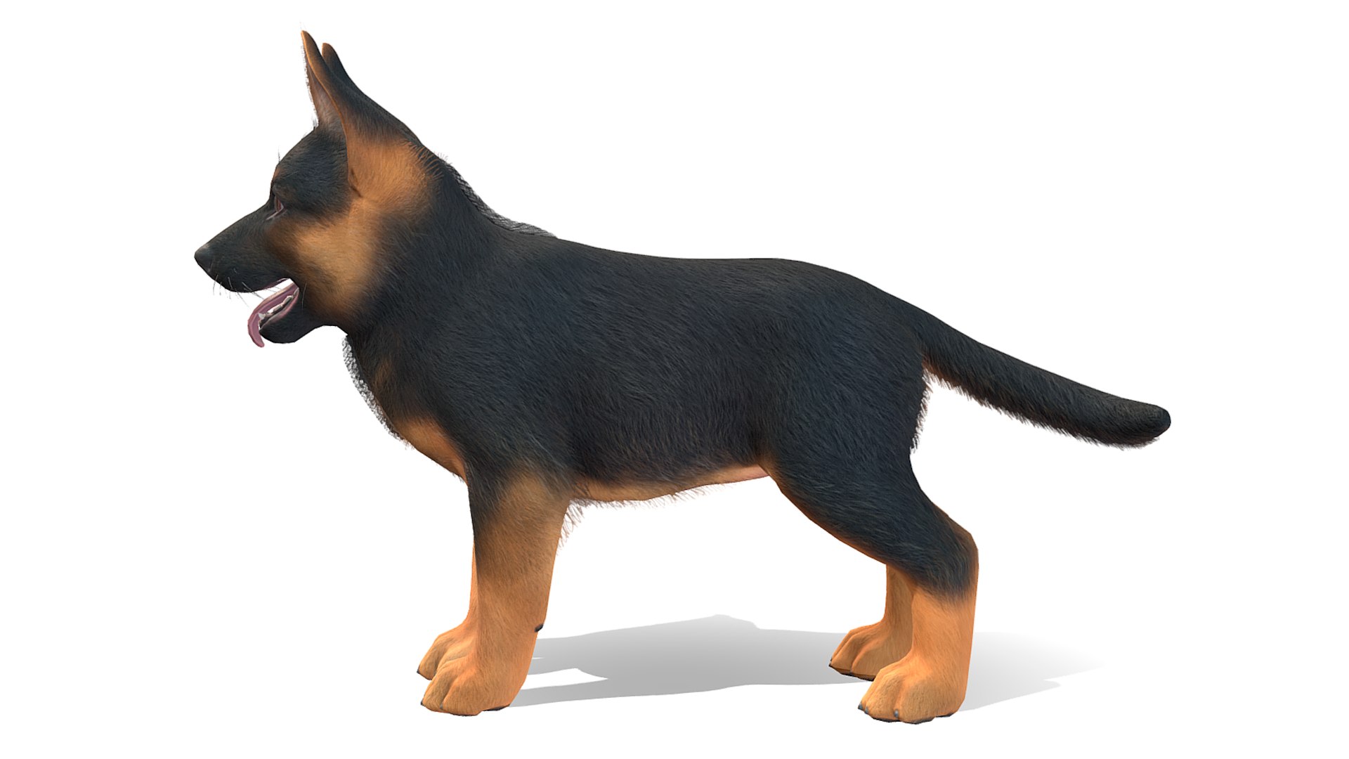 3D Puppy - Shepherd - TurboSquid 2003110