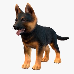 3D Puppy - Shepherd