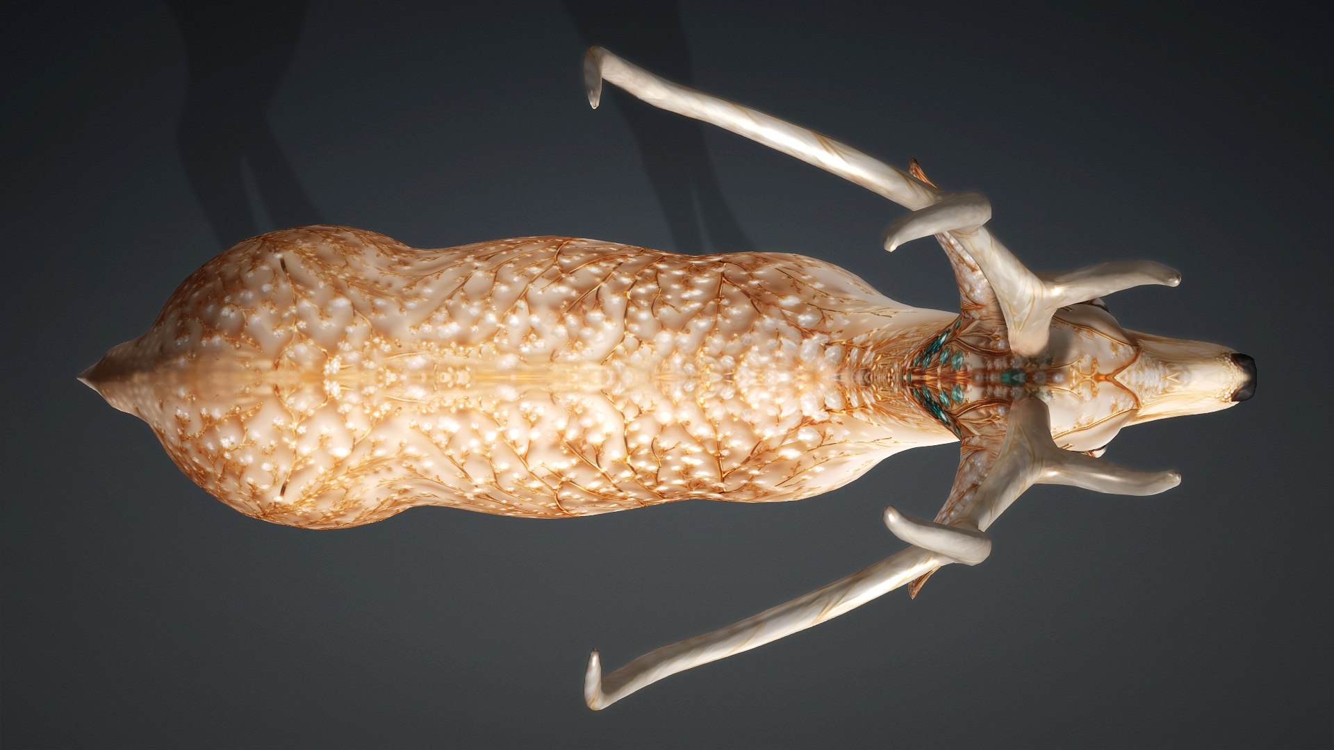 Deer-C4 3D model https://p.turbosquid.com/ts-thumb/Ya/57oRrz/S8/preview5/jpg/1782296705/1920x1080/fit_q87/4204d1302c6c87b6d432e4183c730d89ab7b46b4/preview5.jpg