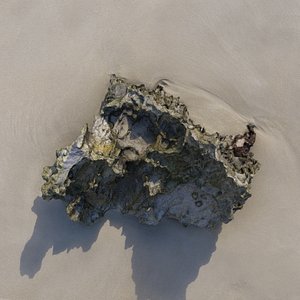 Rock 3D Scan 07