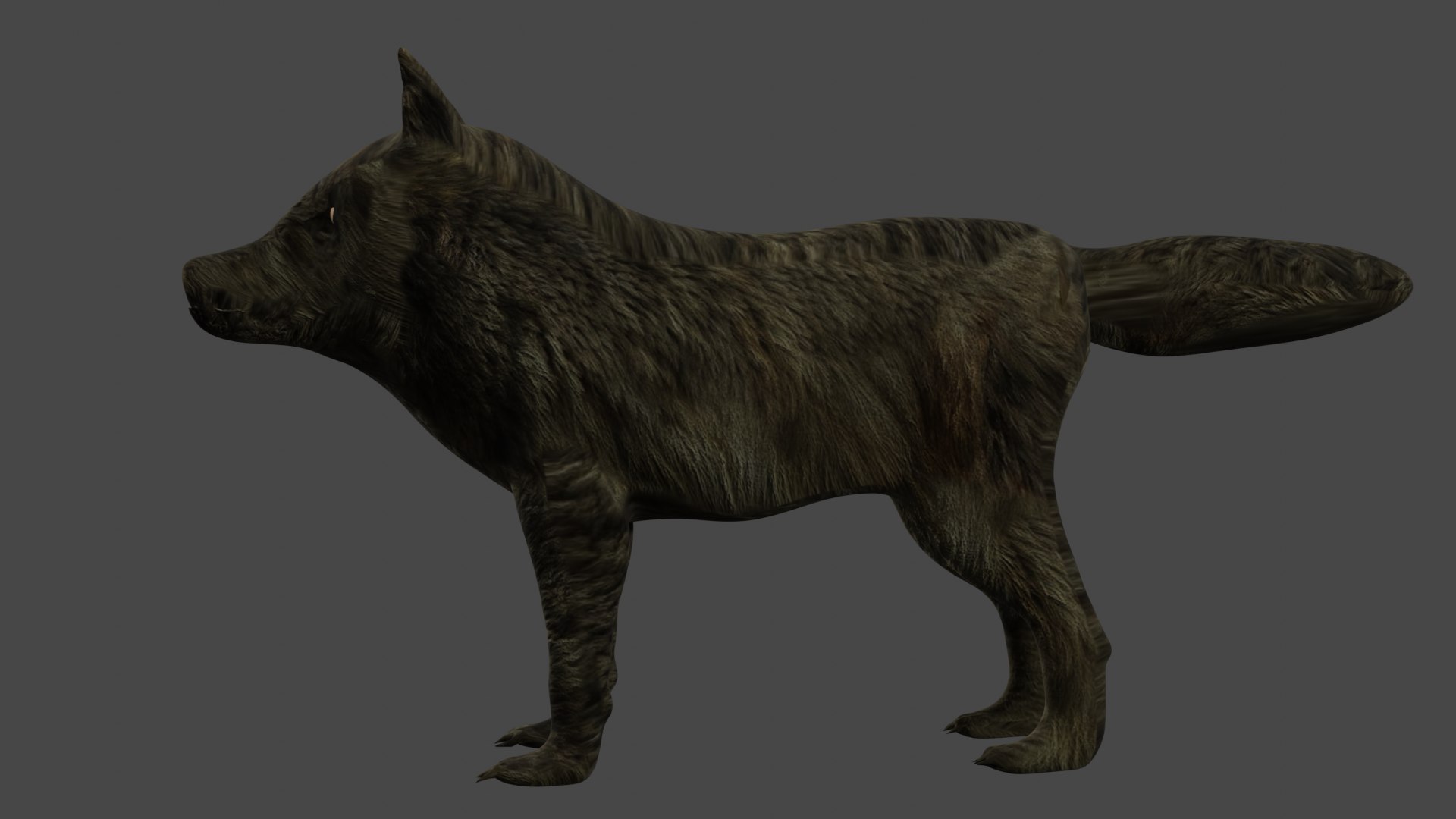Brown Wolf 3D Model - TurboSquid 2007740