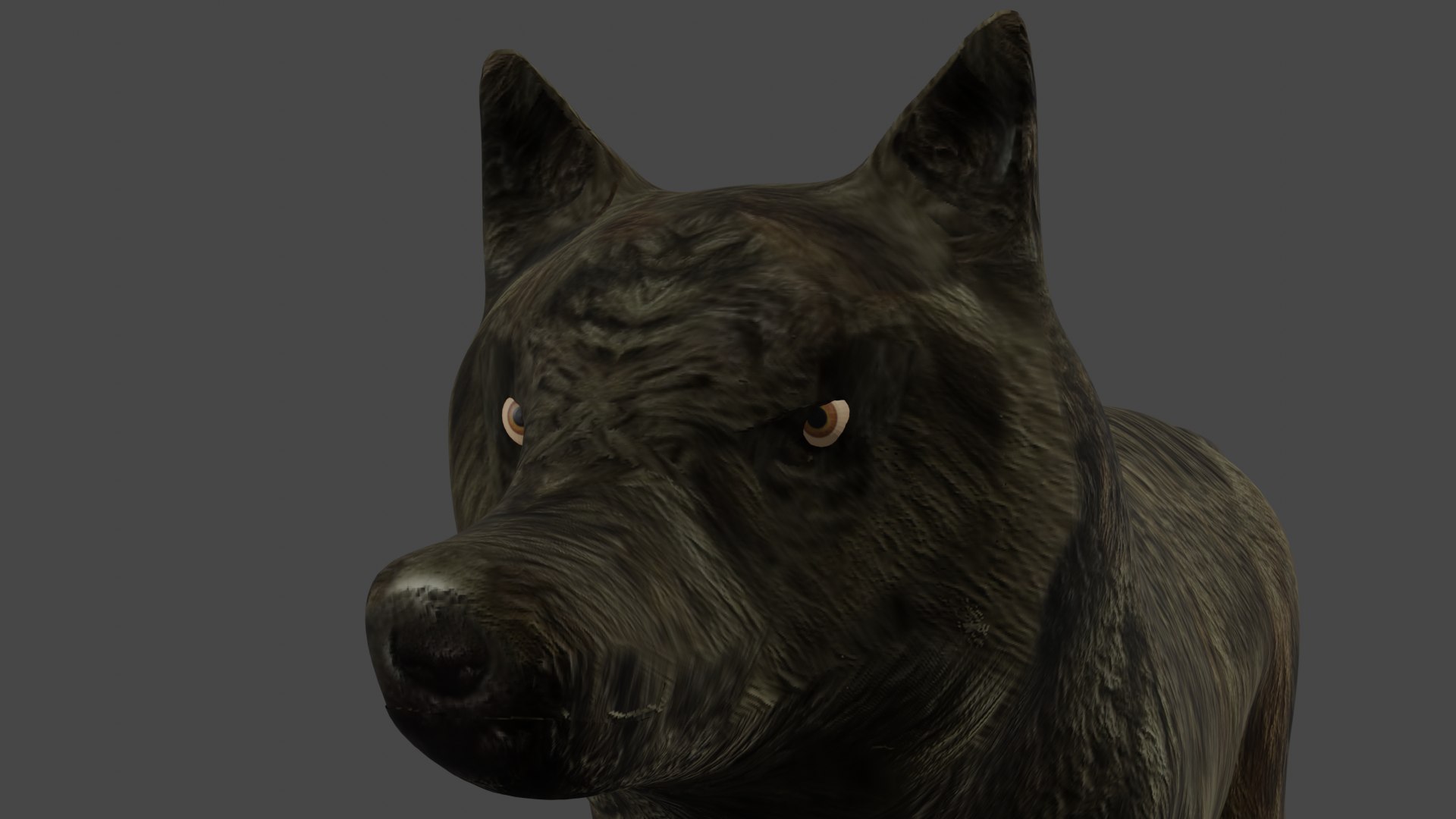 Brown Wolf 3D model https://p.turbosquid.com/ts-thumb/Ya/GQzyqB/Wg/wolf3renderpng/png/1672525446/1920x1080/fit_q87/a56e3e811dc94ea5d5c736ef96f1cda597f67a98/wolf3renderpng.jpg