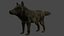 Brown Wolf 3D model