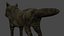 Brown Wolf 3D model