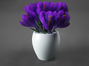3ds max crocus realistic