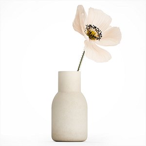 Bouquet Of Beautiful Wild Flower Icelandic Poppy 517 model