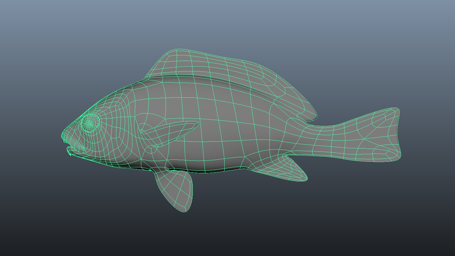 Black Croaker 3D Model - TurboSquid 1744614