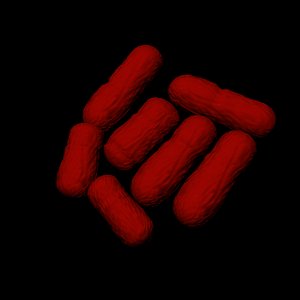 coli escherichia diarrhea 3ds