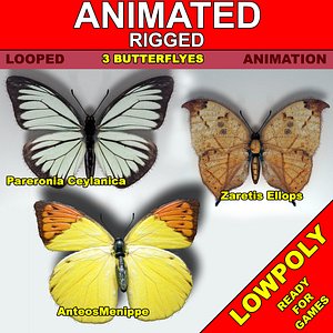 Butterfly Pack