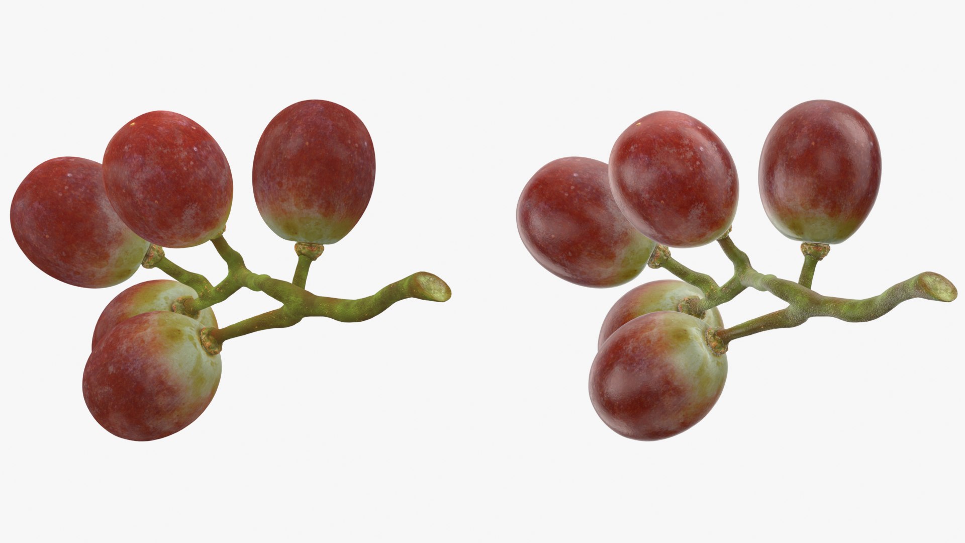 Small Bunch Grapes Collection 3D model https://p.turbosquid.com/ts-thumb/Ya/eB9xOD/Cr/smbunchgrape1_0001b/png/1779821867/1920x1080/fit_q87/21cbc569c34bb89aeca8570dada148f59f19470d/smbunchgrape1_0001b.jpg