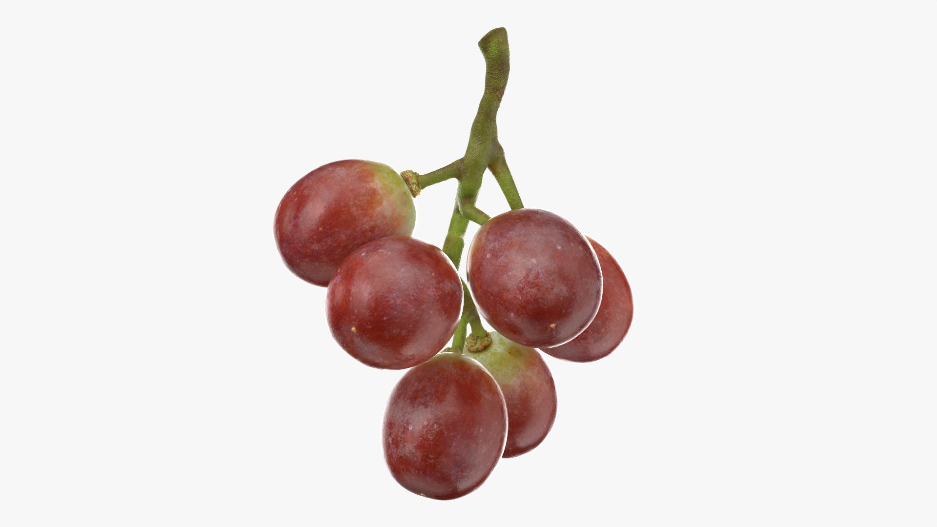 Small Bunch Grapes Collection 3D model https://p.turbosquid.com/ts-thumb/Ya/eB9xOD/HO/smbunchgrape2_0006/png/1779821898/1920x1080/fit_q87/82c0397ff25b0394b95cbfd95804ed06baa80dc6/smbunchgrape2_0006.jpg