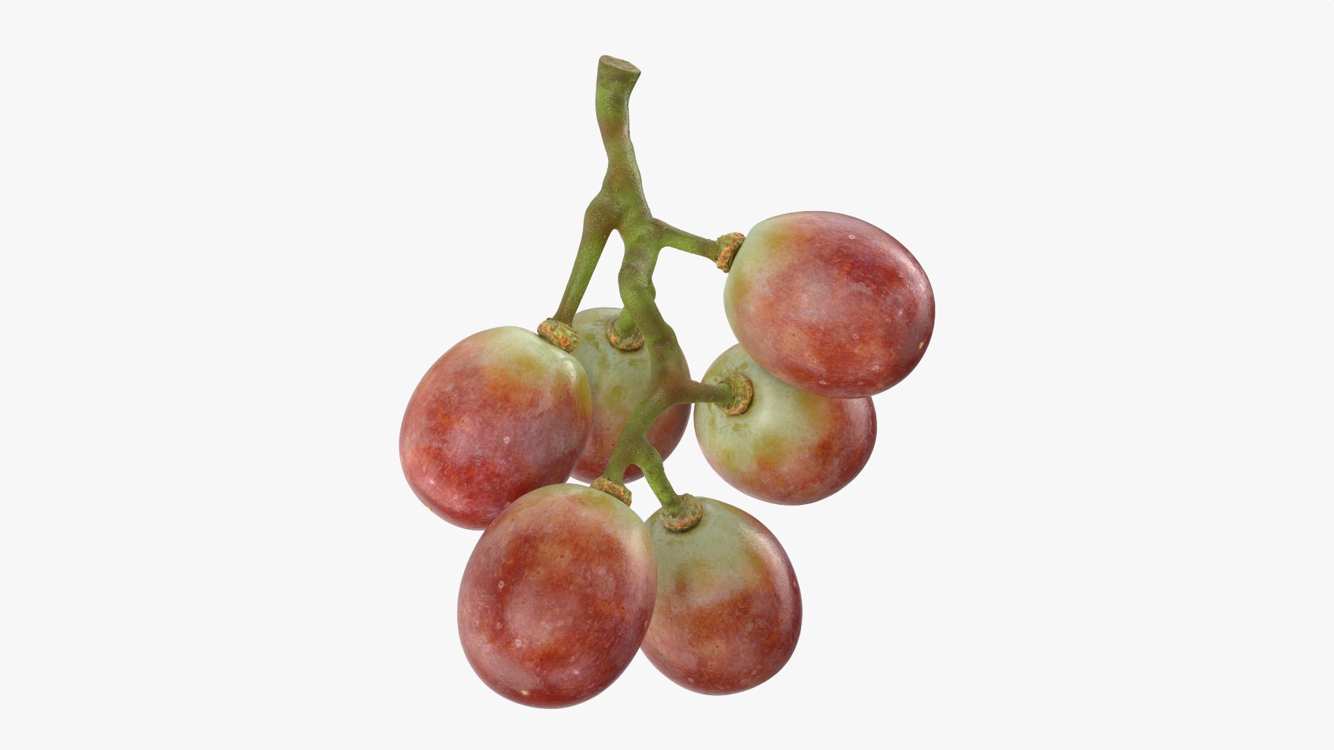 Small Bunch Grapes Collection 3D model https://p.turbosquid.com/ts-thumb/Ya/eB9xOD/KC/smbunchgrape2_0003/png/1779821896/1920x1080/fit_q87/d745466ff11058ada4728de3104e81e0f8bcd469/smbunchgrape2_0003.jpg