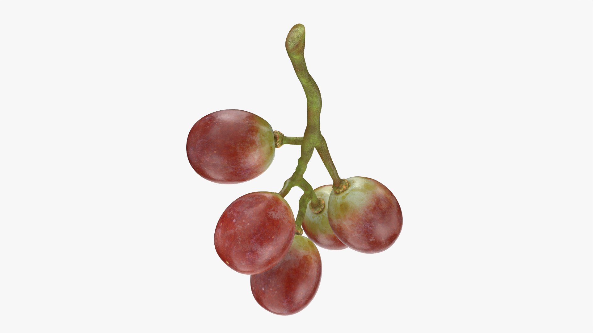 Small Bunch Grapes Collection 3D model https://p.turbosquid.com/ts-thumb/Ya/eB9xOD/ON/smbunchgrape1_0002/png/1779821866/1920x1080/fit_q87/81f3850736f3de80ca42659c01ceb2e55befa780/smbunchgrape1_0002.jpg