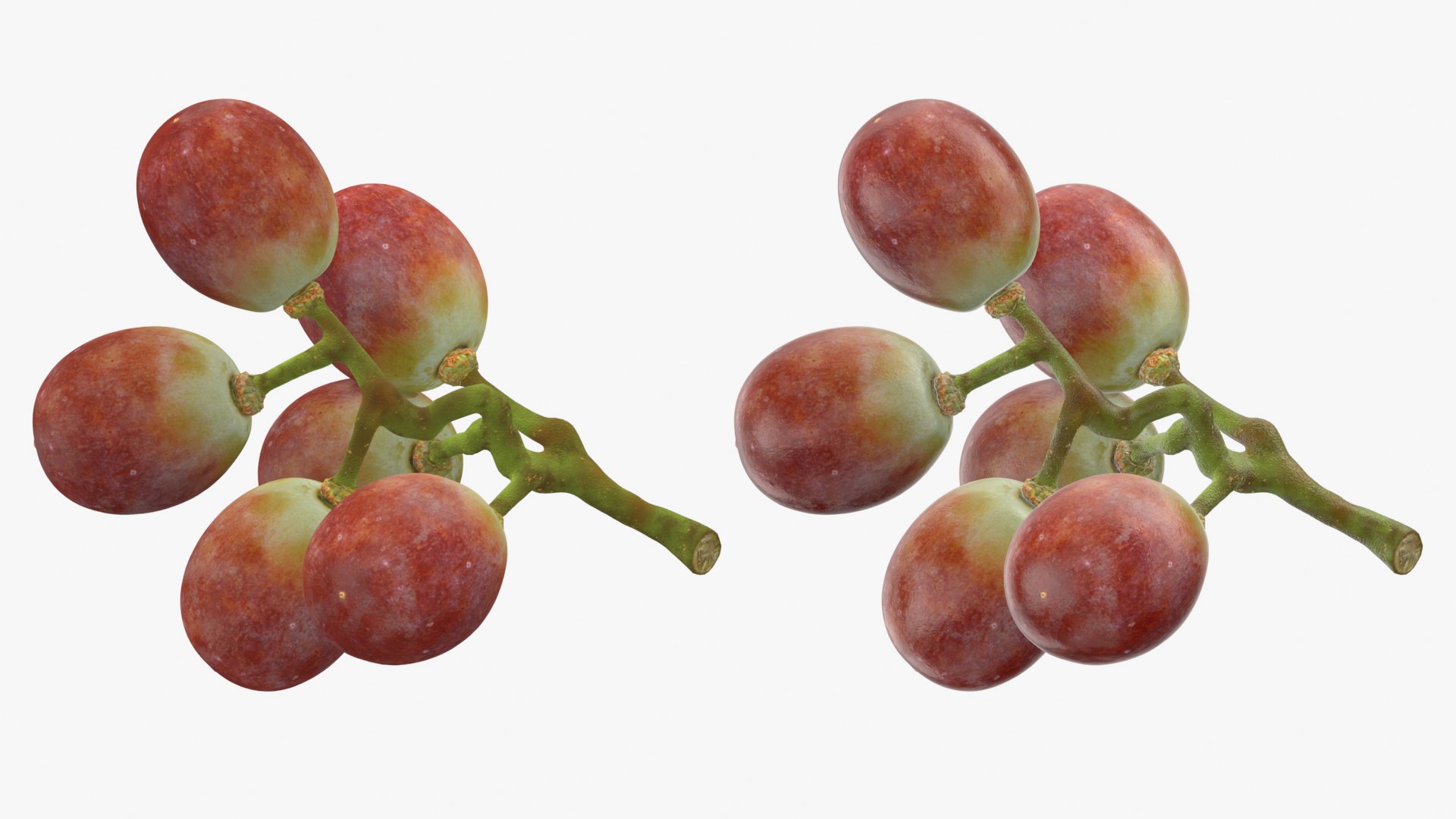 Small Bunch Grapes Collection 3D model https://p.turbosquid.com/ts-thumb/Ya/eB9xOD/V9/smbunchgrape2_0001b/png/1779821904/1920x1080/fit_q87/bdb50ddbf362129c42626407eaf97b35ba8439cc/smbunchgrape2_0001b.jpg