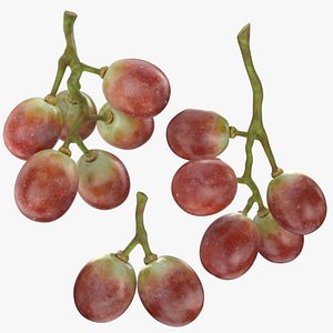 Small Bunch Grapes Collection 3D model