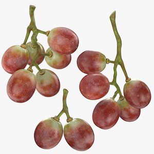 Small Bunch Grapes Collection