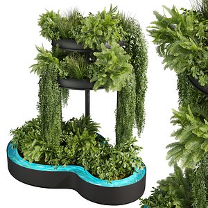 3D Collection plant vol 689 Corona 7 max 2015plant vol 689 - Lady Ferns - ampelous - pool