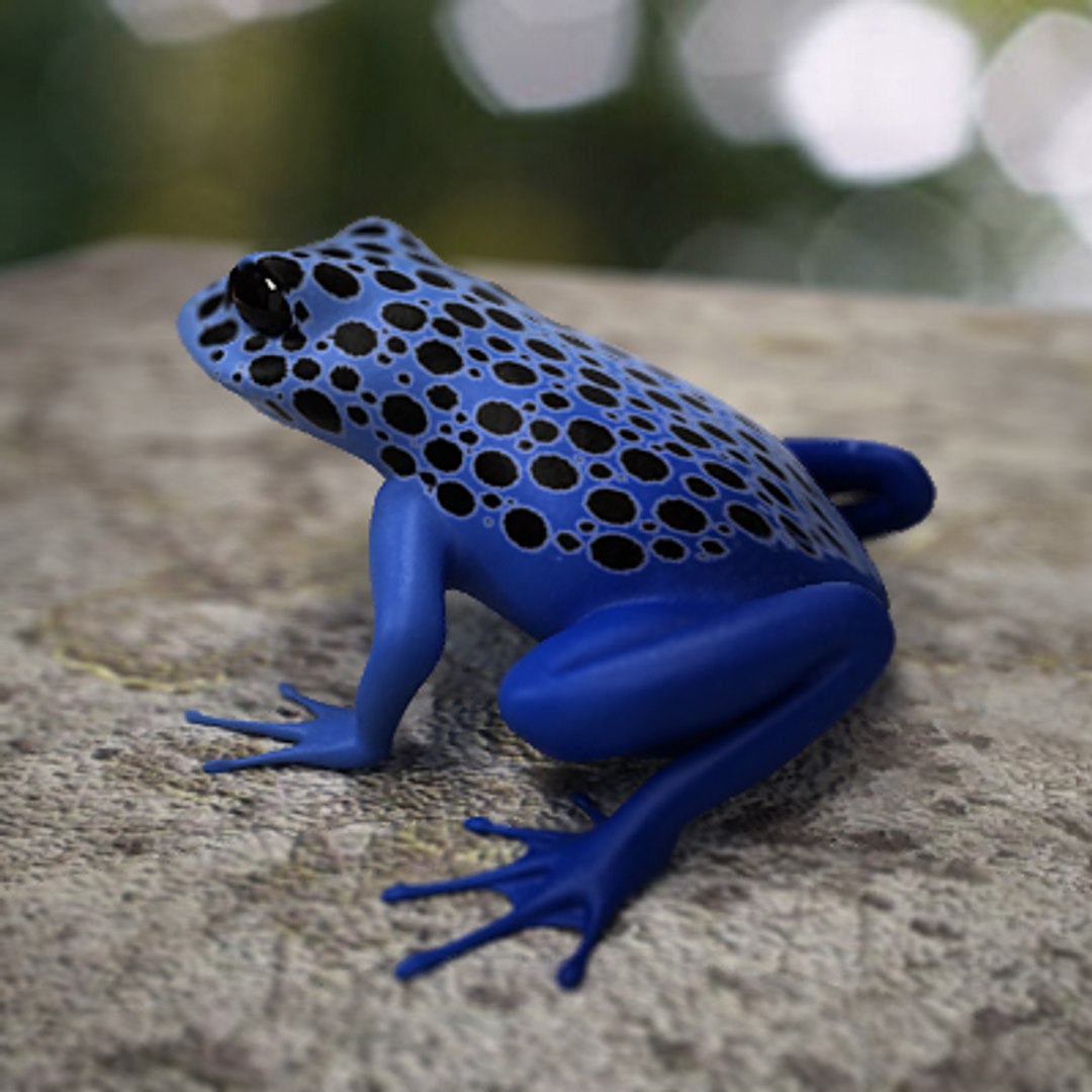 poison dart frog 3d max https://p.turbosquid.com/ts-thumb/Yb/ApGfTz/ASdIzFmP/poisondartc2/jpg/1252481431/1920x1080/fit_q87/fa289a3a97d55b8a94718f6fcc26a479160b5592/poisondartc2.jpg