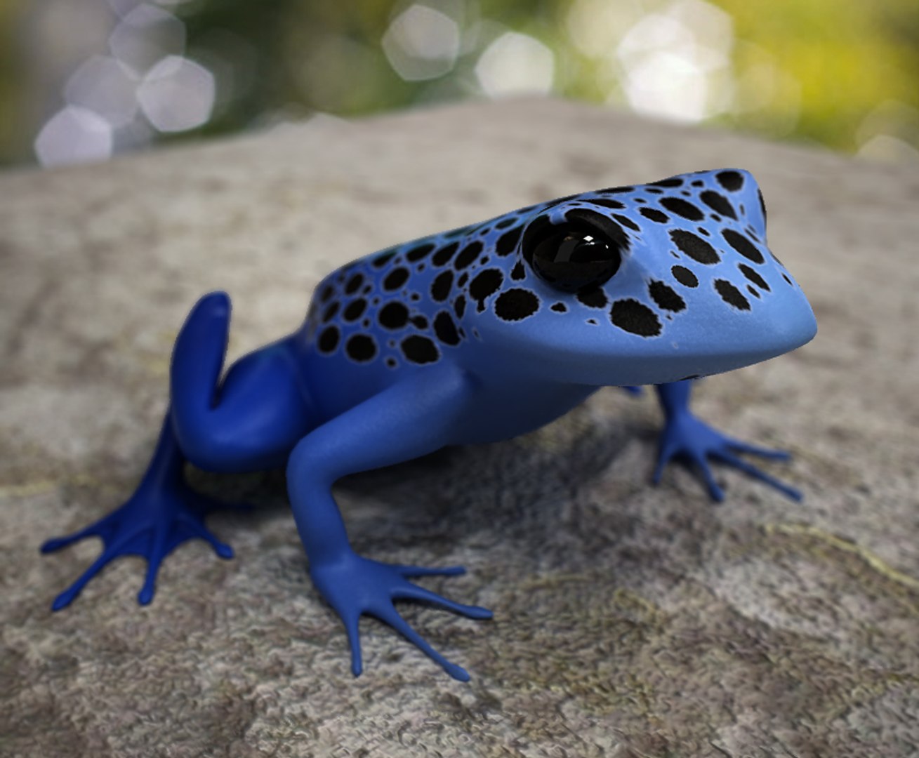 poison dart frog 3d max https://p.turbosquid.com/ts-thumb/Yb/ApGfTz/I1iLgFH7/poisondartc1/jpg/1252481420/1920x1080/fit_q87/e1b379d5c3c98e4d6c159a58a012bae7b0f7d395/poisondartc1.jpg