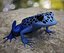 Poison dart frog 02 by 3DRivers