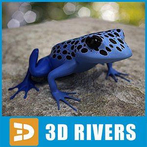 Poison dart frog 02 by 3DRivers