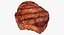 Coleção de itens essenciais para churrasco