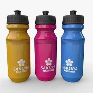 PBR Sports Water Bottle B 3D model