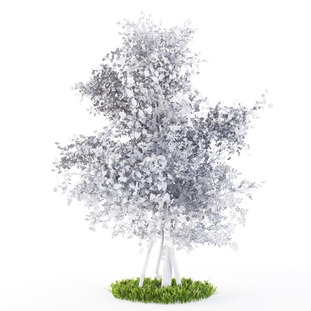 bush plexus 3d model https://p.turbosquid.com/ts-thumb/Yb/T7RKaB/XP8odUw7/5/jpg/1489826485/1920x1080/fit_q87/a51e38883e45f9c9027d1ac23a9a60ed69d36867/5.jpg