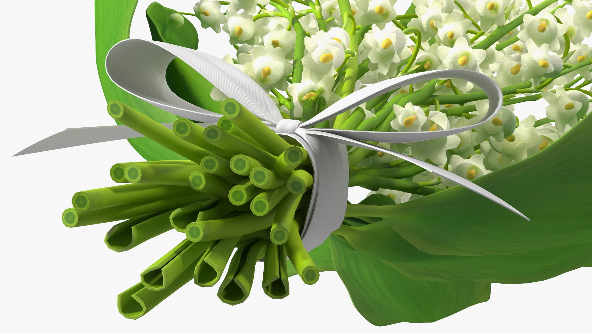 Lily of the Valley Bouquet 3D https://p.turbosquid.com/ts-thumb/Yb/W4R1Fn/3e/lilyofthevalleybouquet3dsmodel013/jpg/1654092247/1920x1080/fit_q87/ac2a40fc4220f16b061e93a0a93eca02a1e540f8/lilyofthevalleybouquet3dsmodel013.jpg